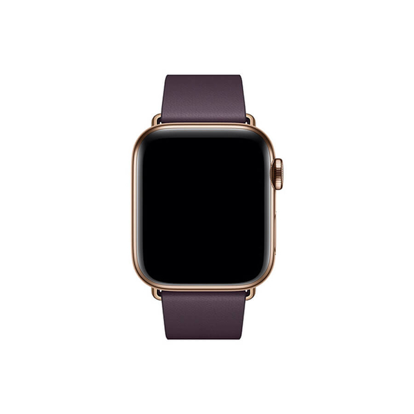 Dây Modern Buckle Apple Watch - Hình 2